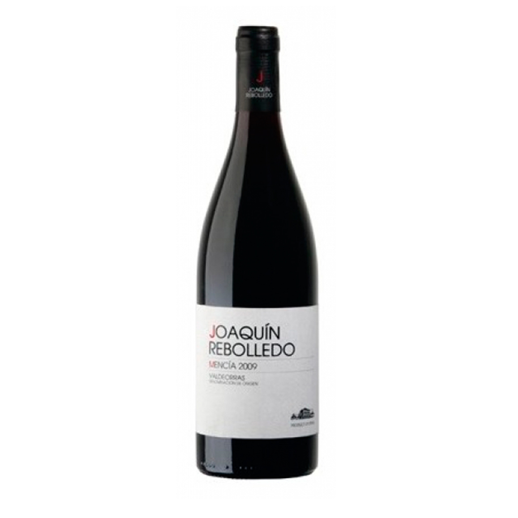 joaquin_rebolledo_mencia