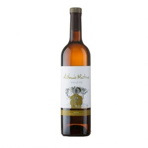 antonio_montero_colleita_2019