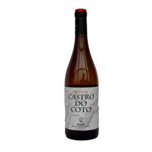 castro_do_coto