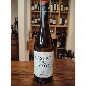 castro_do_coto_caino