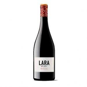 lara_da_silva_mencia